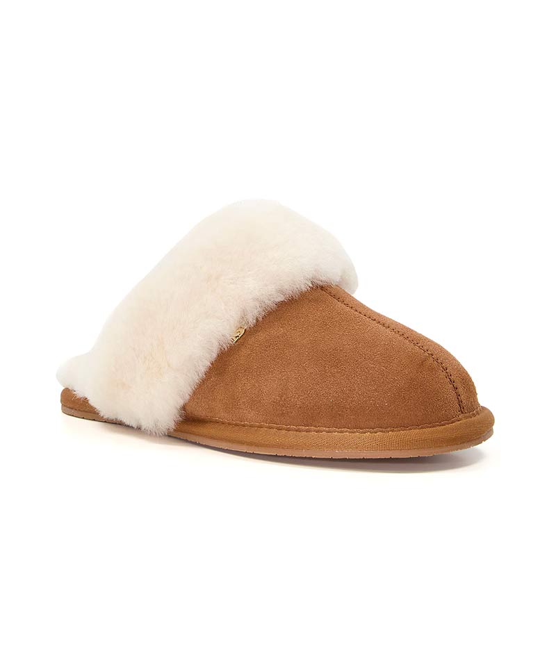 Wardour - Camel